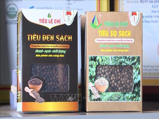 Bản tin nông sản hôm nay (12-11): Giá hồ tiêu và cà phê đồng loạt giảm